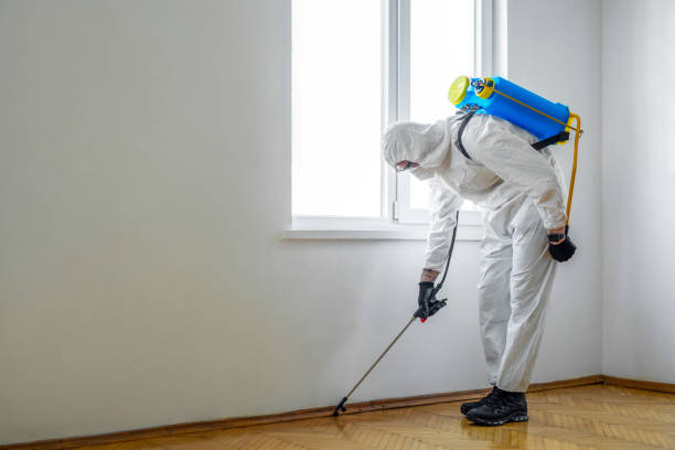 Best Termite Inspection and Treatment  in Mulberry, NC